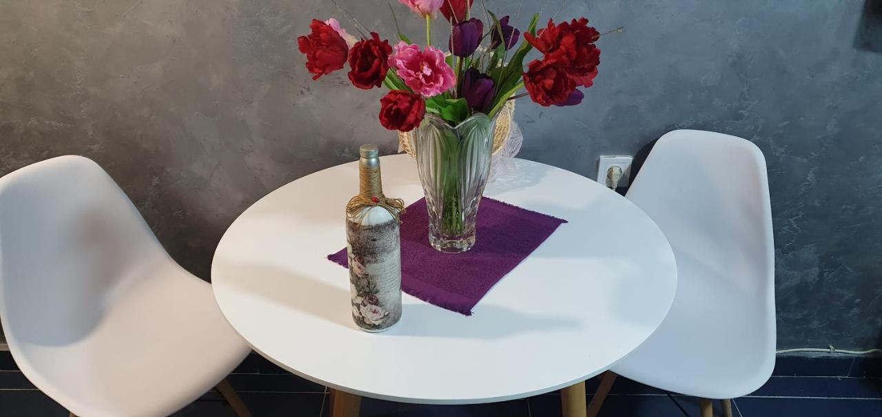 Cozzy Apartment Near The Aiport Podgorica Mitrovici  Ngoại thất bức ảnh